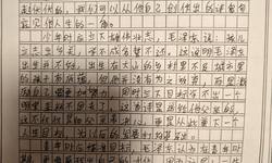 Featured image of post 高一下期中考语文作文